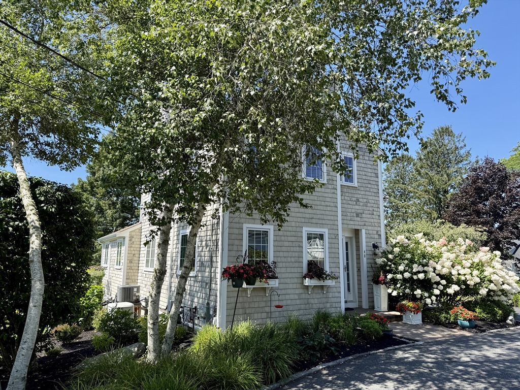 48 Wilson St