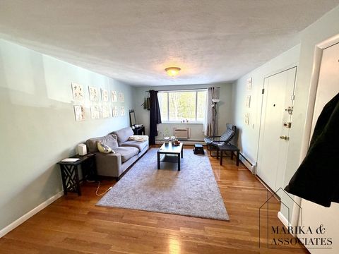 Photo of 205 Kent Street #18, Brookline, MA 02446 (MLS # 73513235)