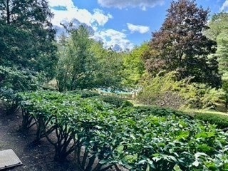 40 Village Rd #108A, Middleton, MA, 40 Village Rd #108A, Middleton, MA Photo #22