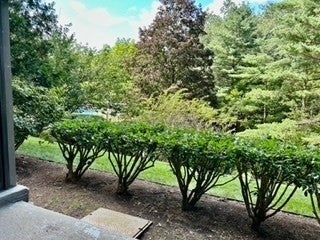 40 Village Rd #108A, Middleton, MA, 40 Village Rd #108A, Middleton, MA Photo #23