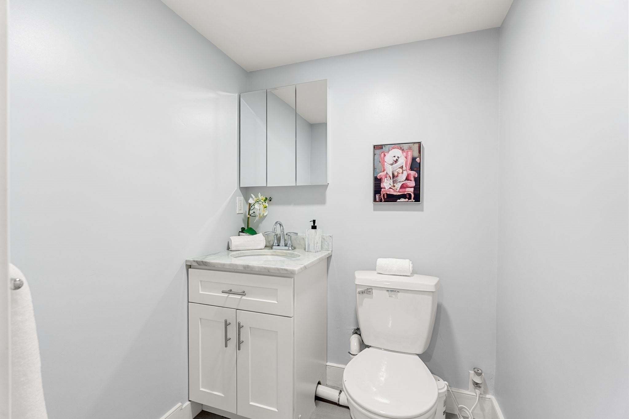 23 Downer Ave #1, Boston, MA, 23 Downer Ave #1, Boston, MA Photo #15