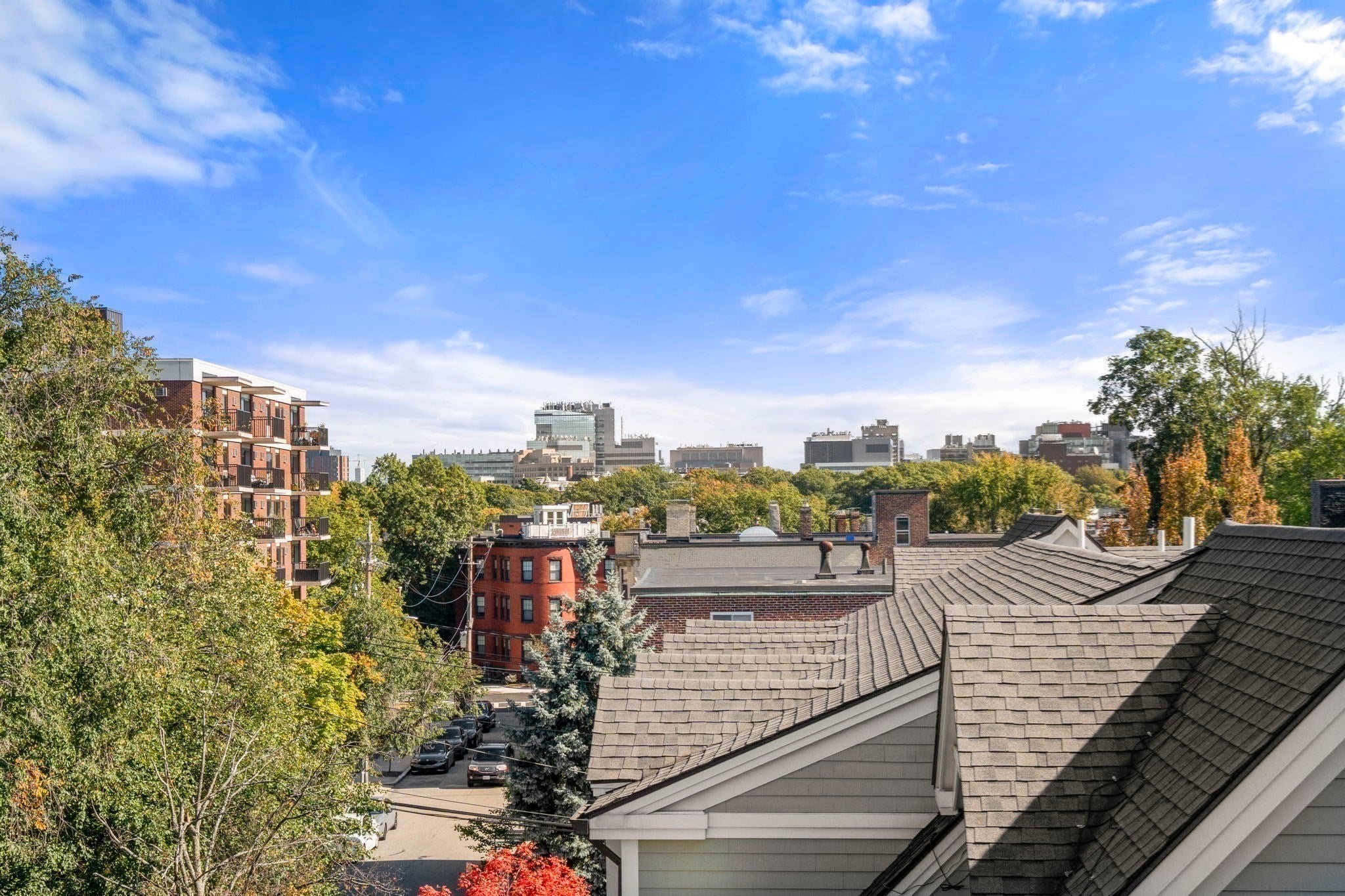 36 Dwight St #4, Brookline, MA, 36 Dwight St #4, Brookline, MA Photo #27