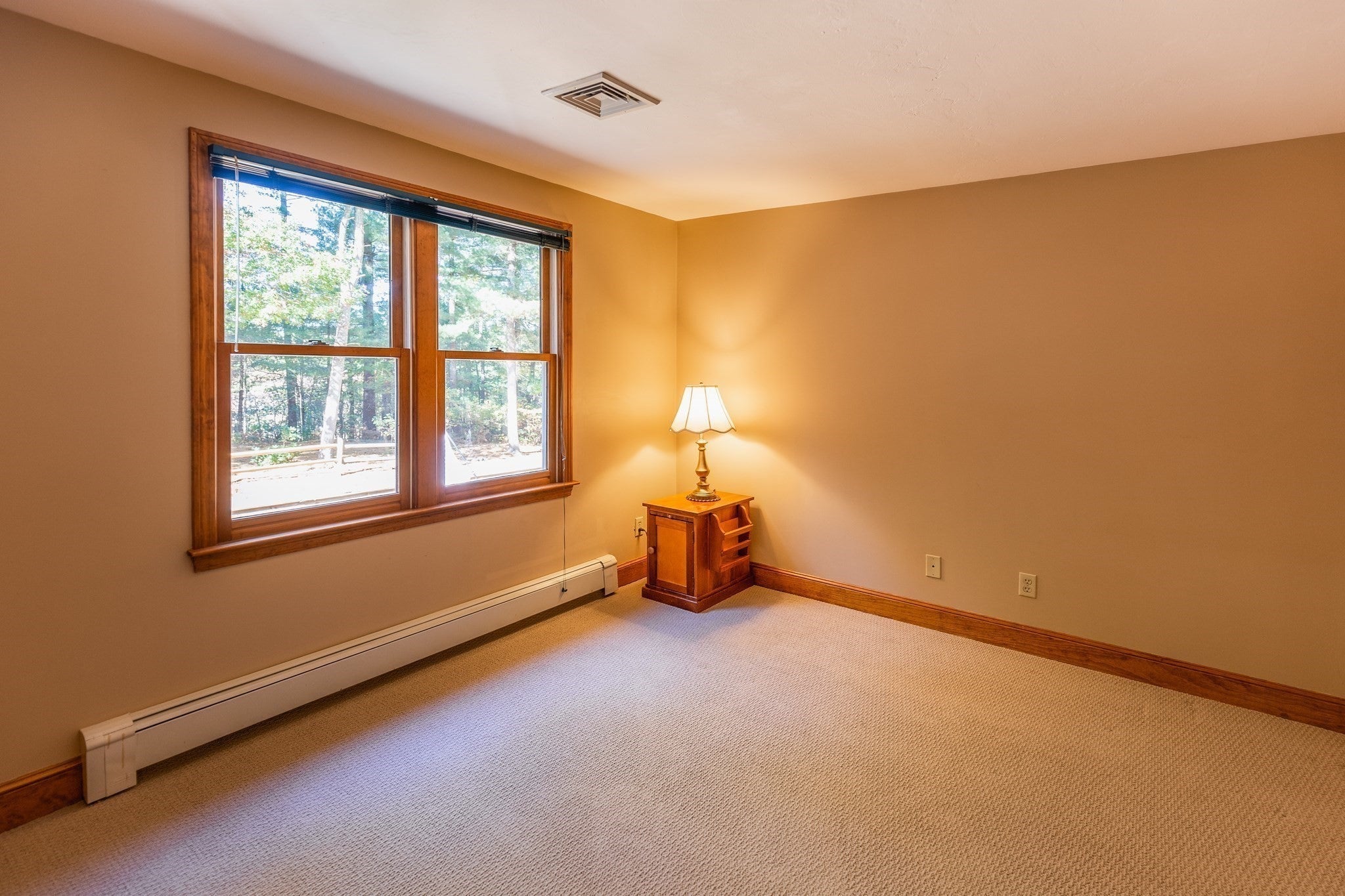 9 Pleasant St, Carver, MA Photo #23