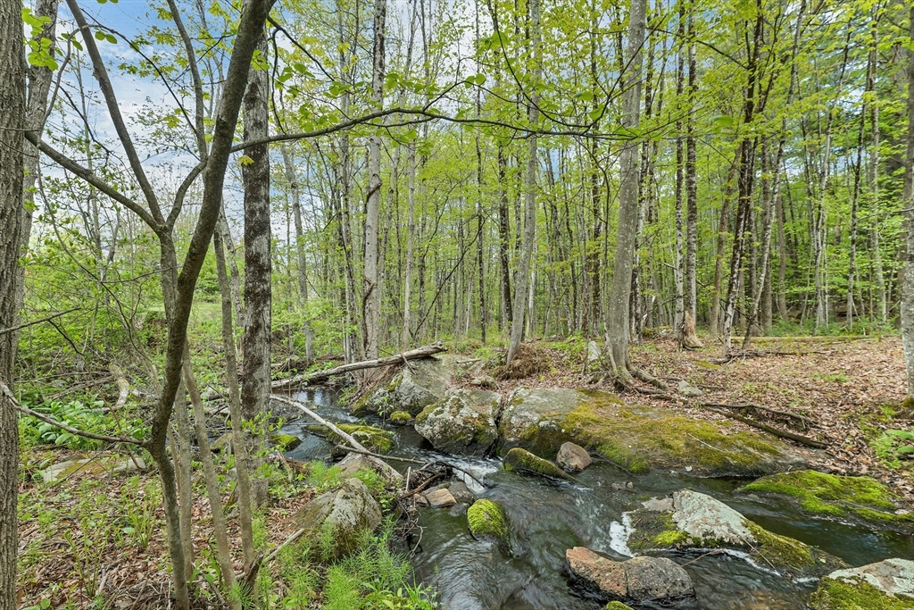 234 Paige Hill Rd
