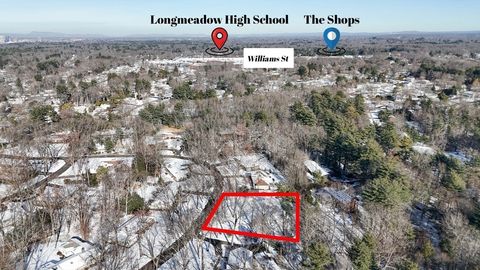 64 Magnolia Cir Longmeadow MA 01106