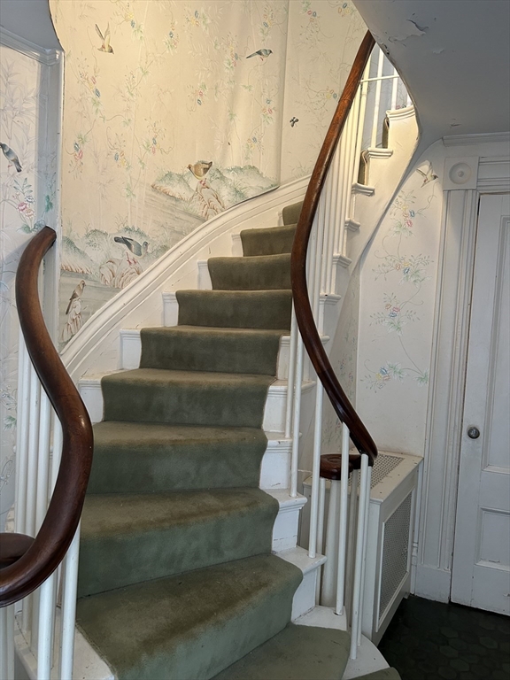 11 West Cedar Street