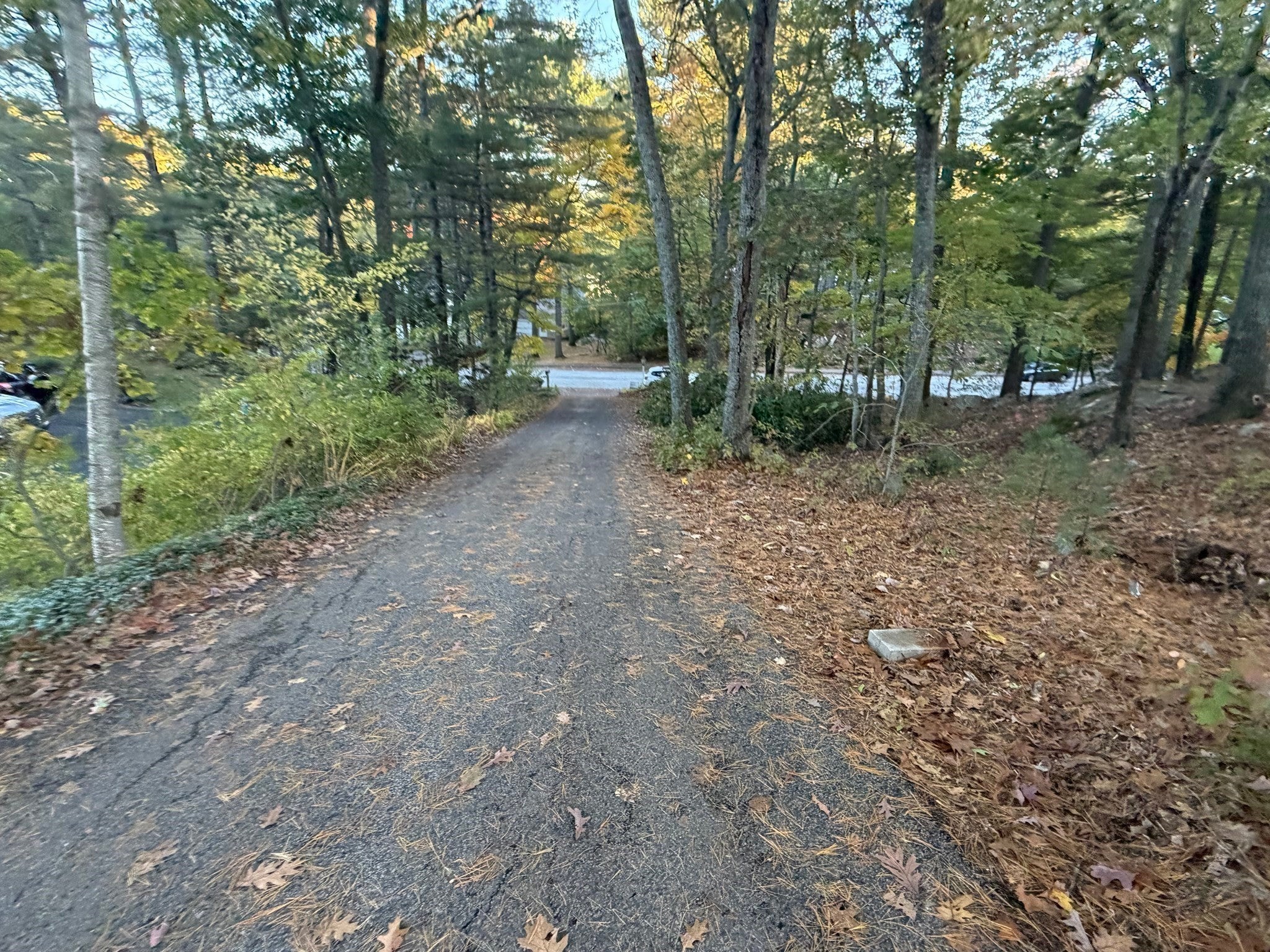 18 Hearthstone Drive, Medfield, MA, 18 Hearthstone Drive, Medfield, MA Photo #3