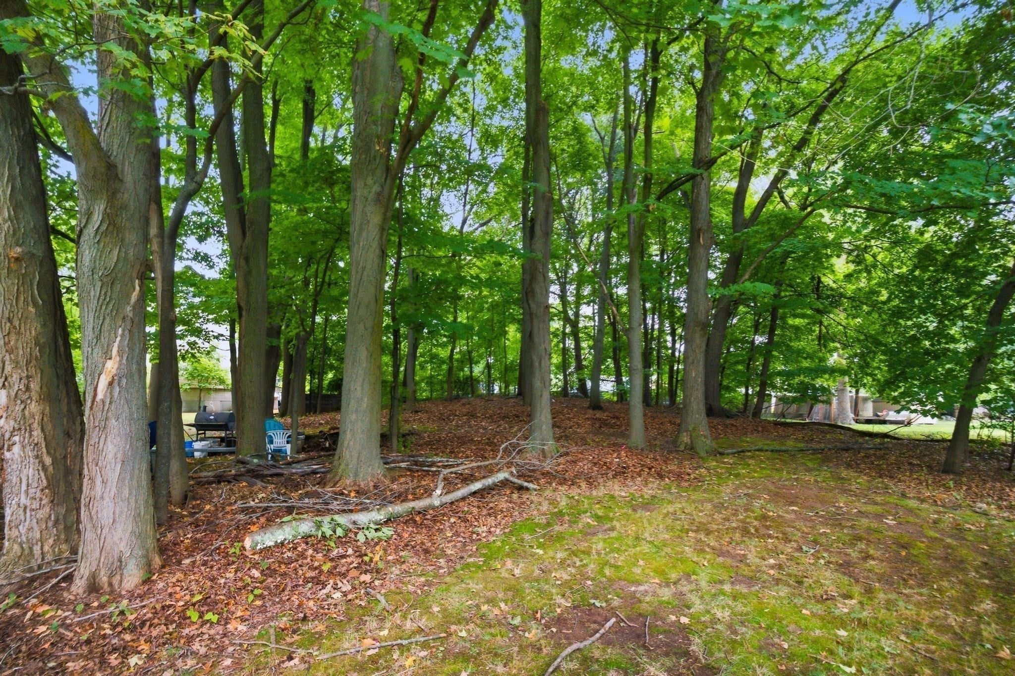 219 Montvale AVE, Woburn, MA Photo #7