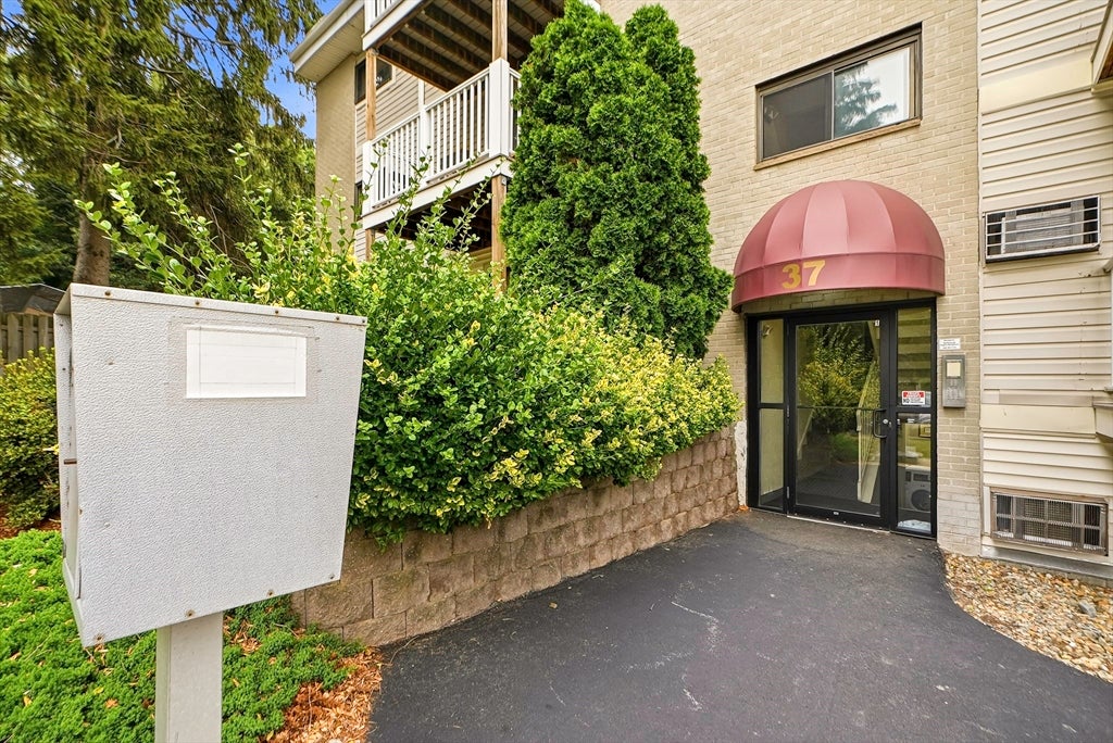 37 Hosmer St 17