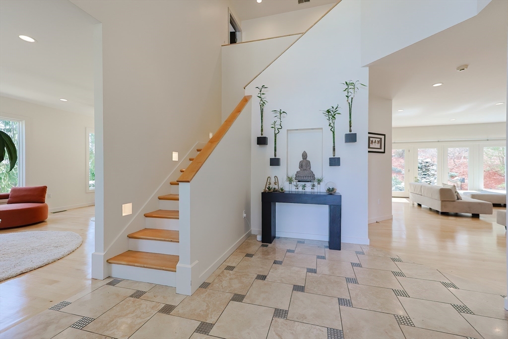 20 Cottonwood