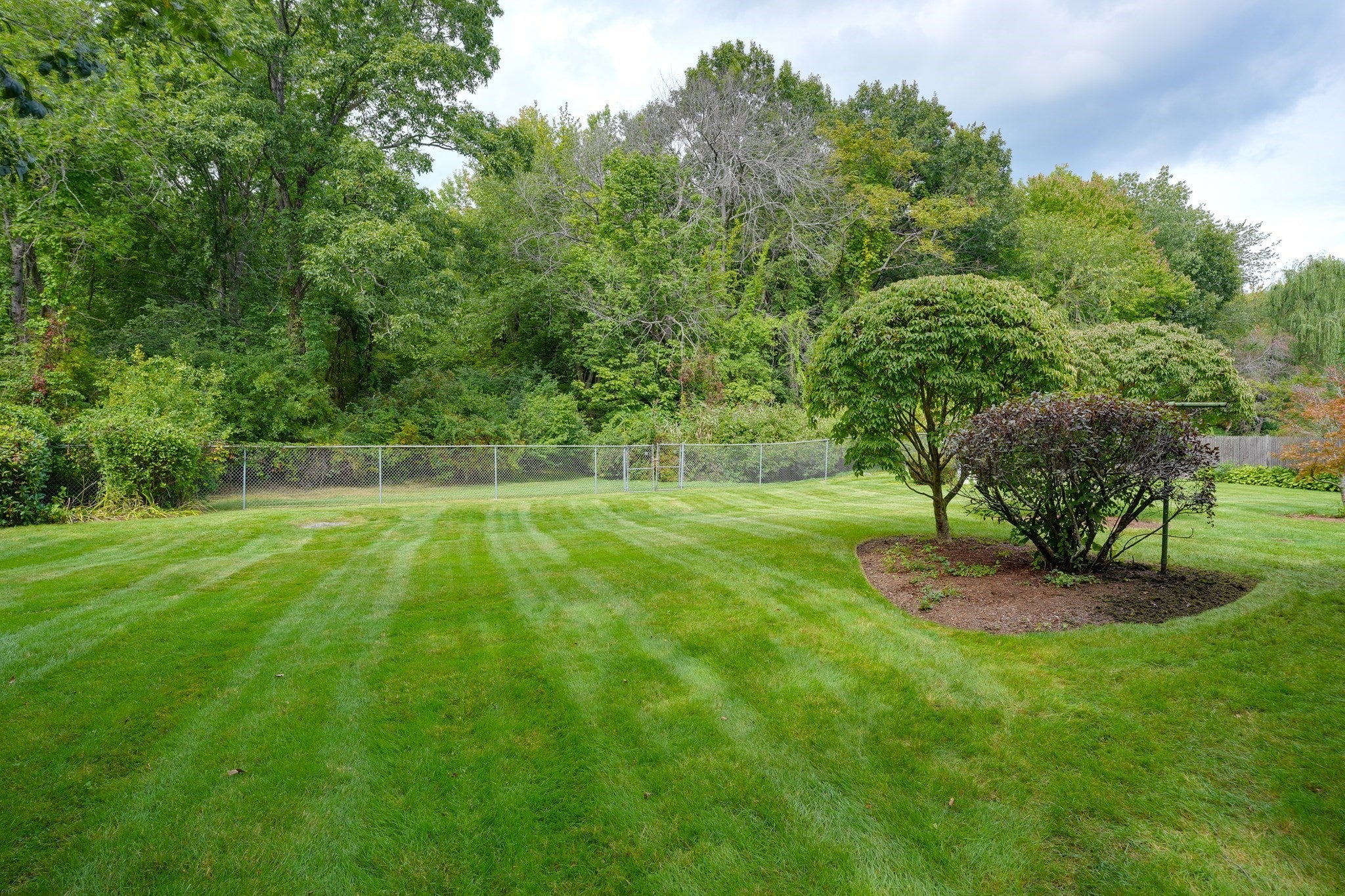 14 Fred St, Burlington, MA Photo #3