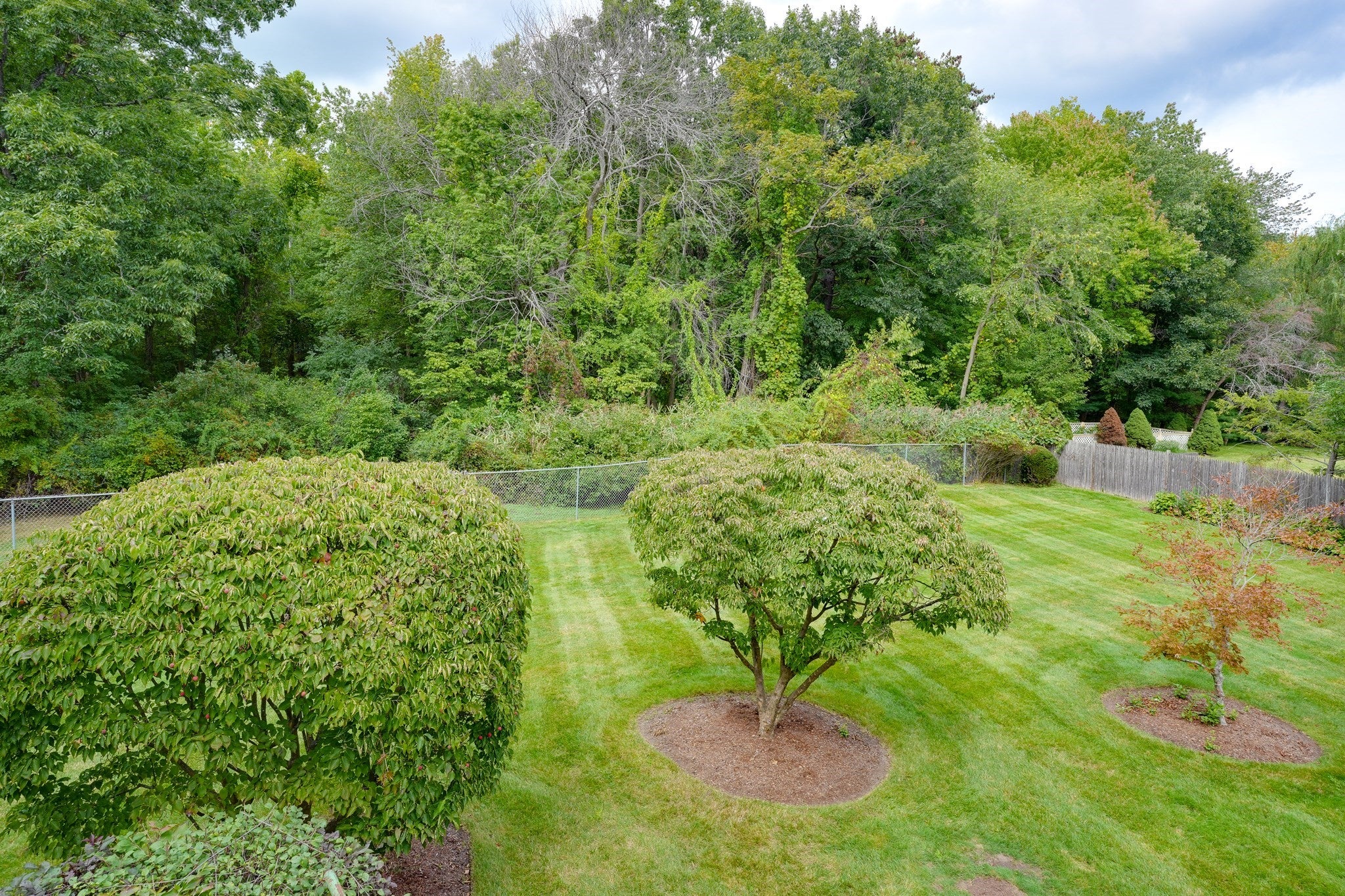 14 Fred St, Burlington, MA Photo #5