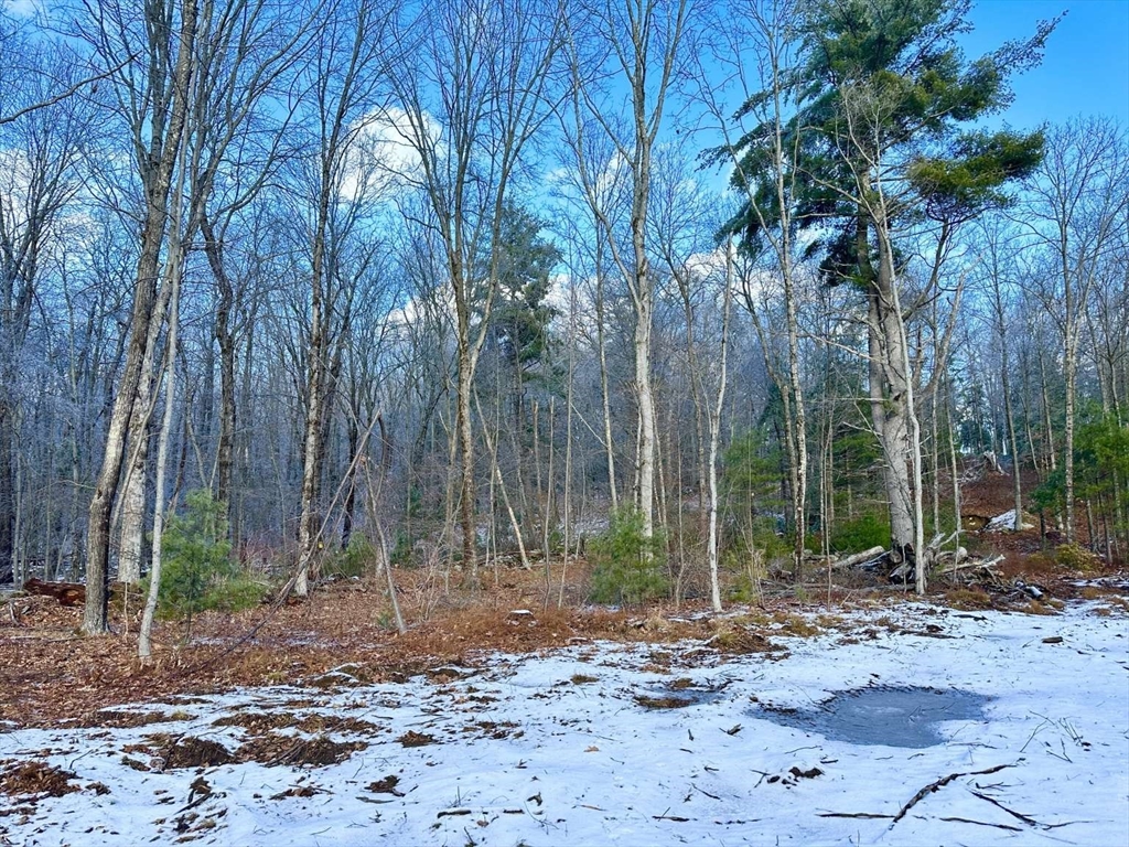 126 Burbank Rd Lot 1