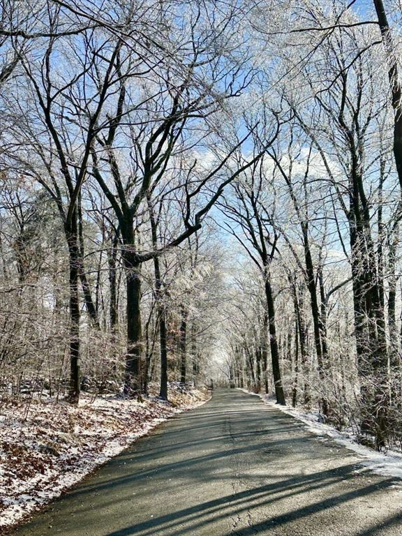 126 Burbank Rd Lot 1