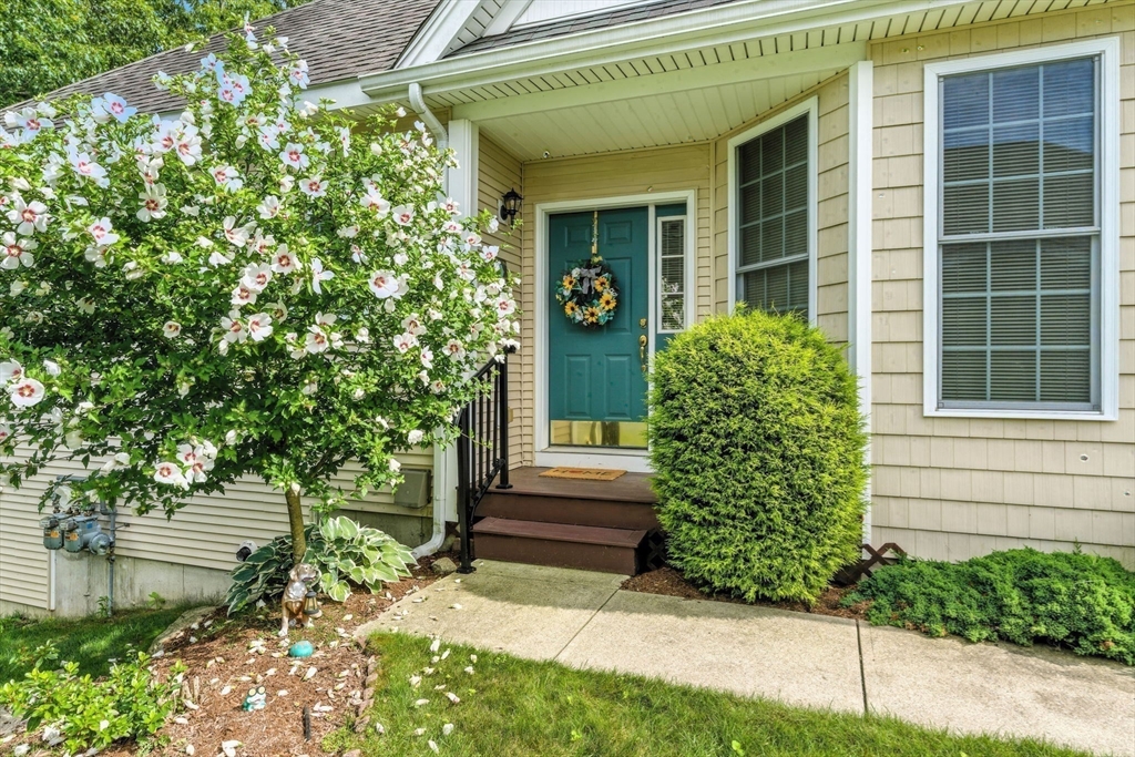 35 Andrews Dr 35