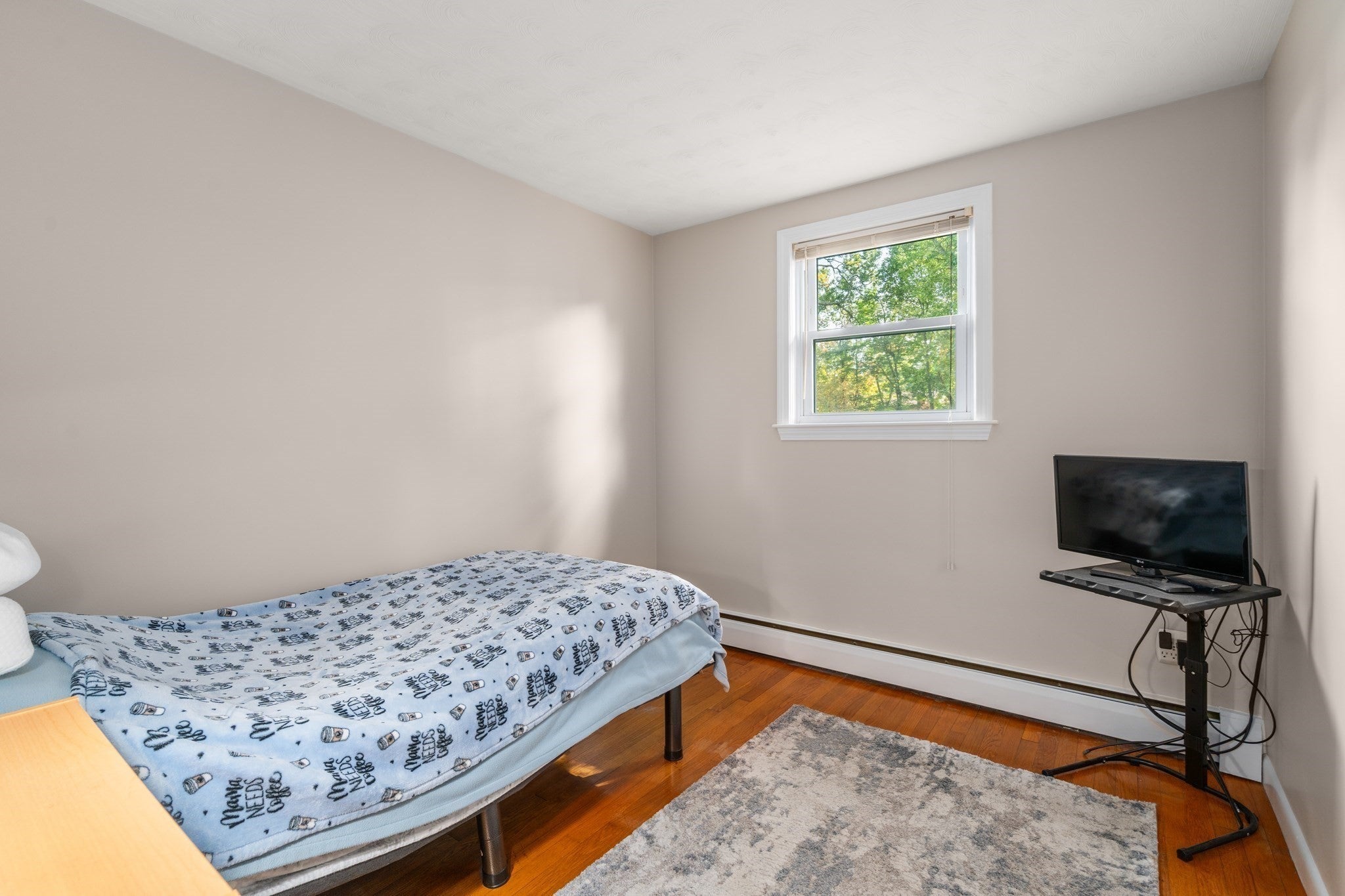 18 Julie Ave, Brockton, MA, 18 Julie Ave, Brockton, MA Photo #16