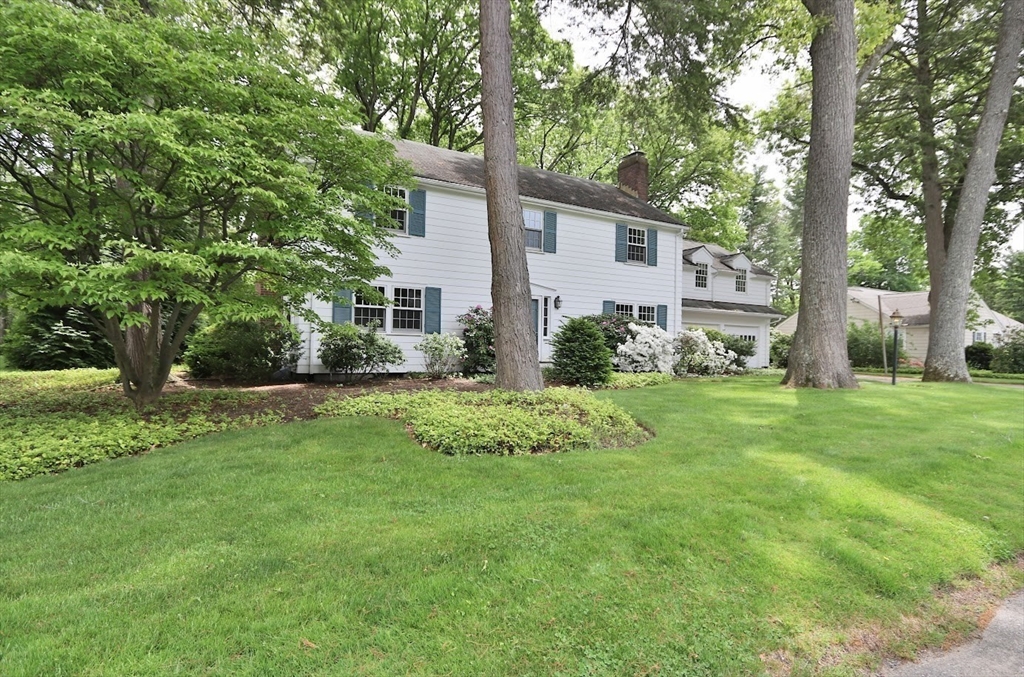 19 Pine Needle
