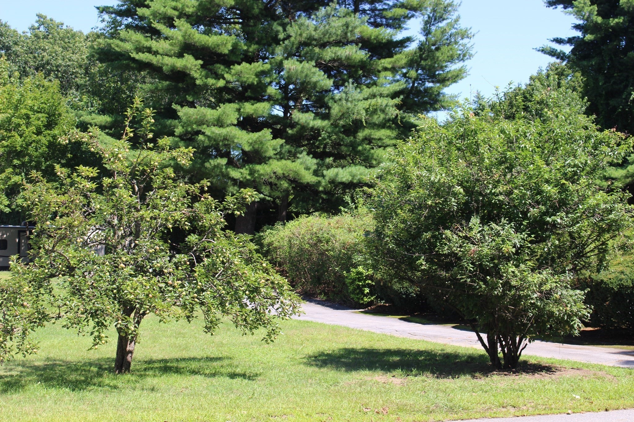 206 Debbie Drive, Leominster, MA Photo #15