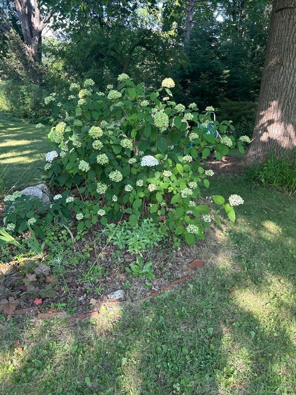 12 Stage Rd, Westhampton, MA, 12 Stage Rd, Westhampton, MA Photo #30