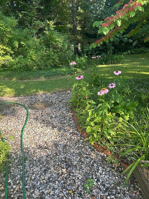 12 Stage Rd, Westhampton, MA, 12 Stage Rd, Westhampton, MA Photo #31