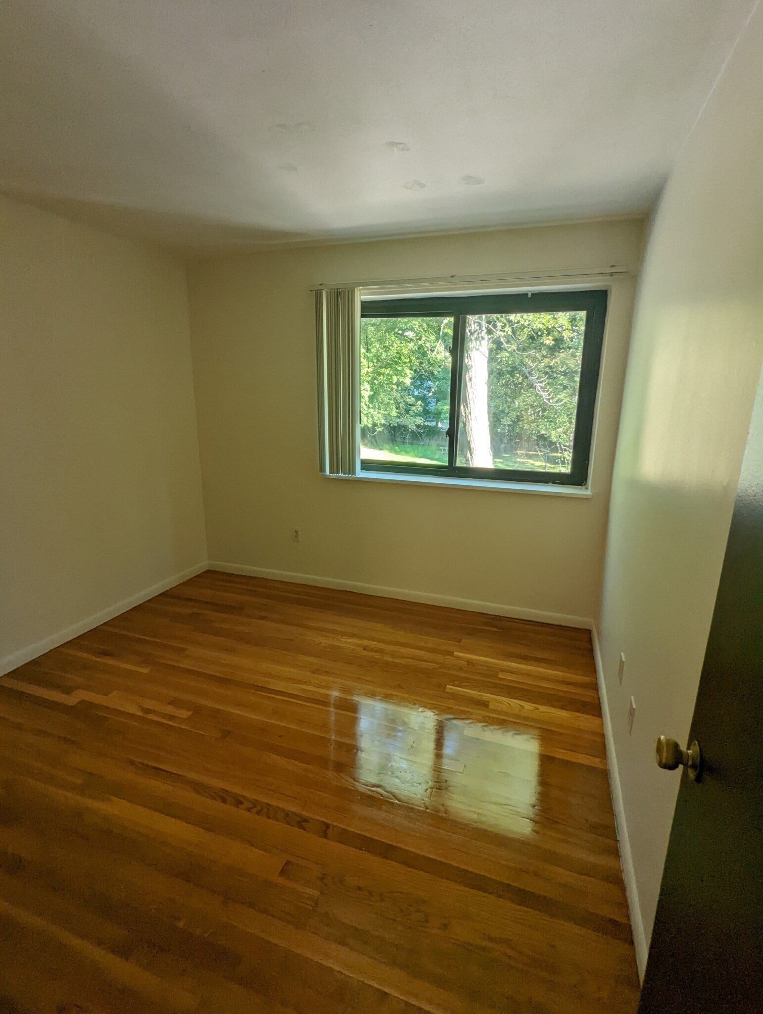 202 Central ST #6, Stoneham, MA, 202 Central ST #6, Stoneham, MA Photo #5