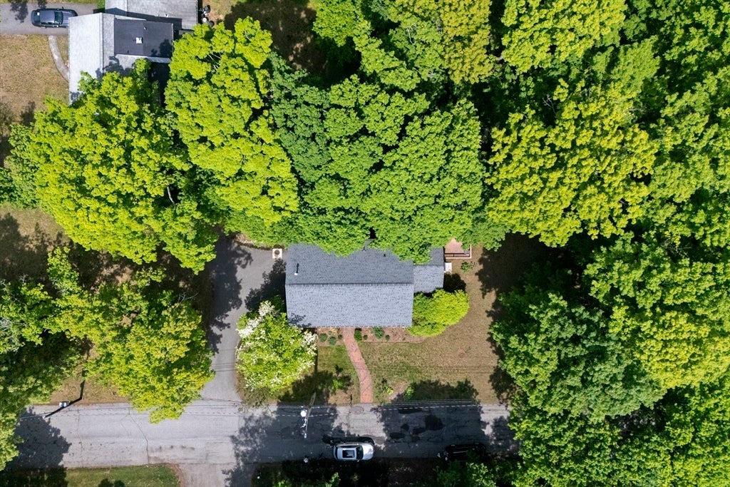 2 Laurel Street, Lexington, MA, 2 Laurel Street, Lexington, MA Photo #31