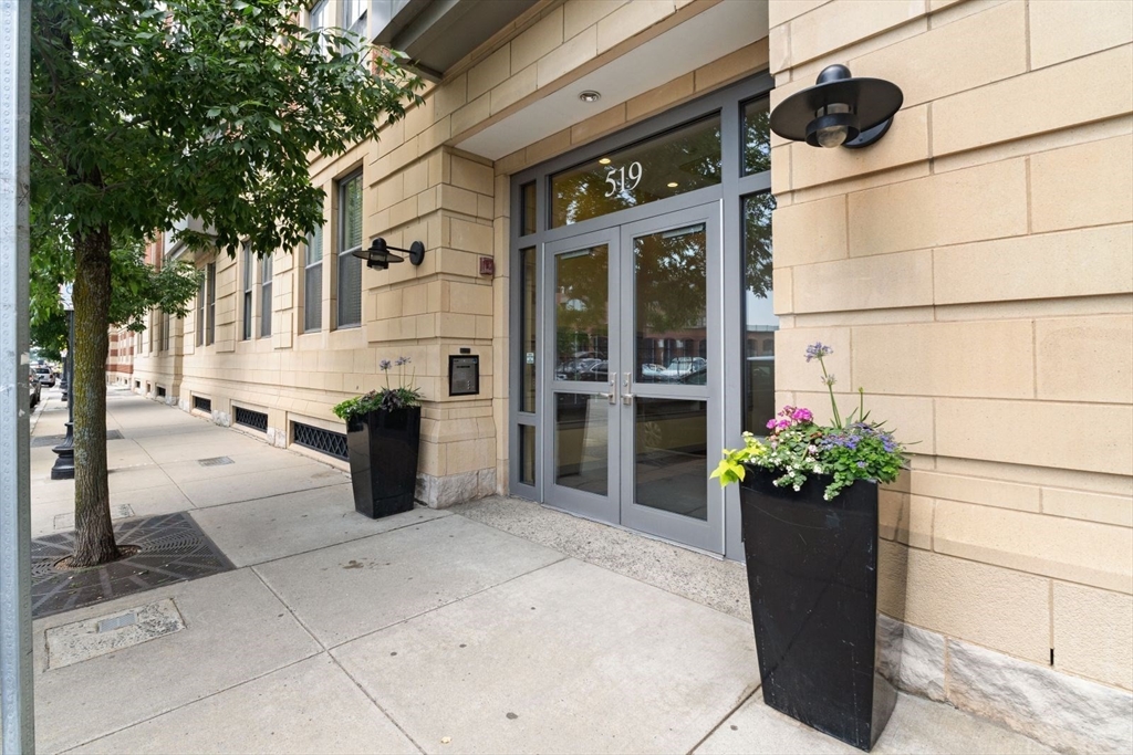519 Harrison Ave D117