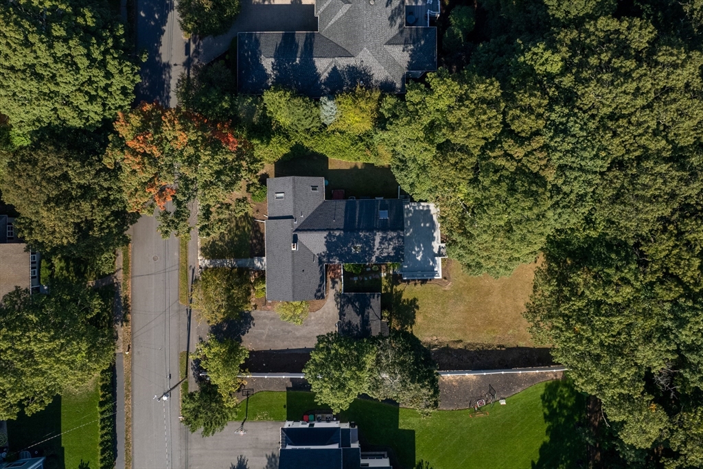 48 Taylor St