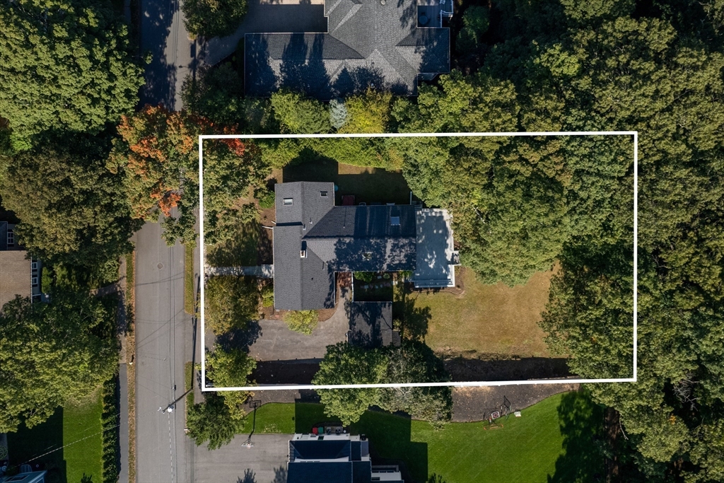 48 Taylor St