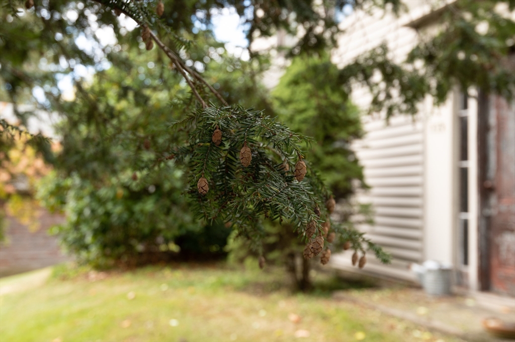 311 Wethersfield St.