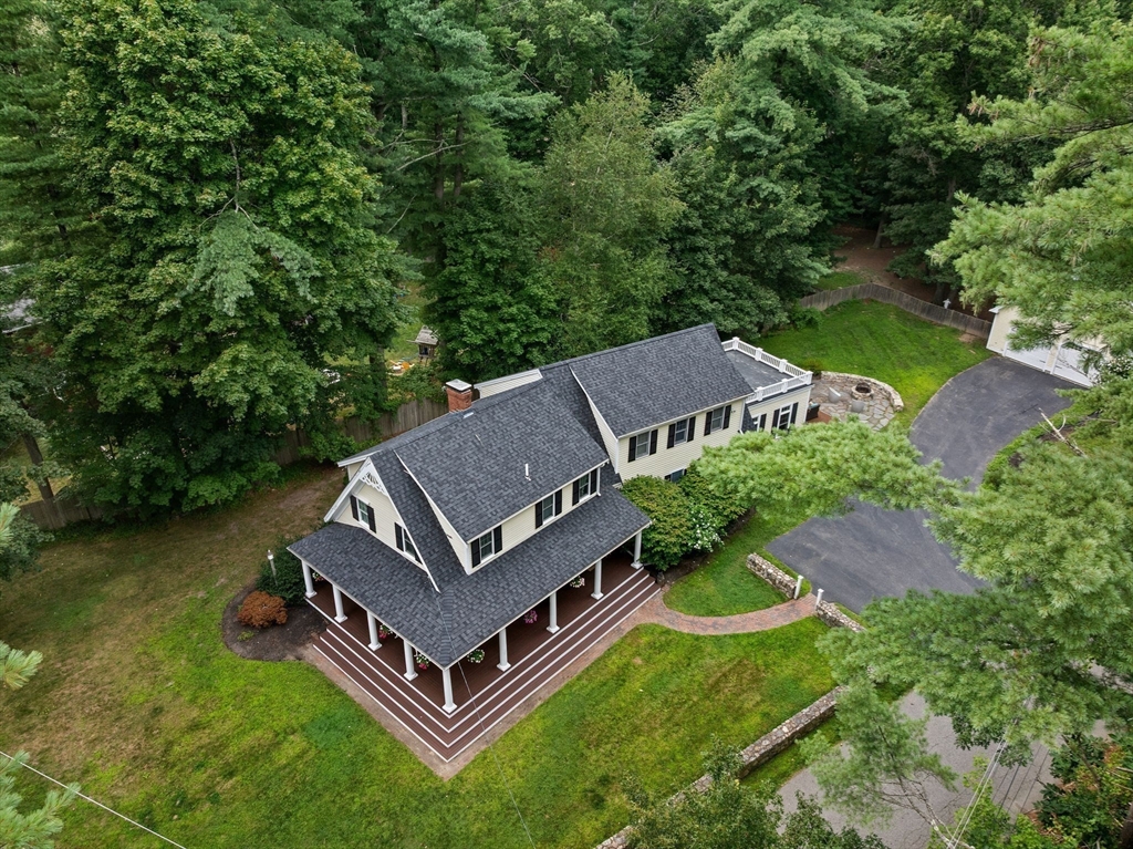 1231 Forest