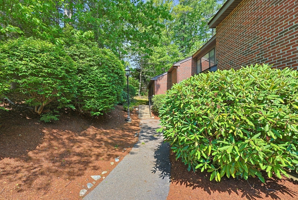 38 Highwood Drive 38
