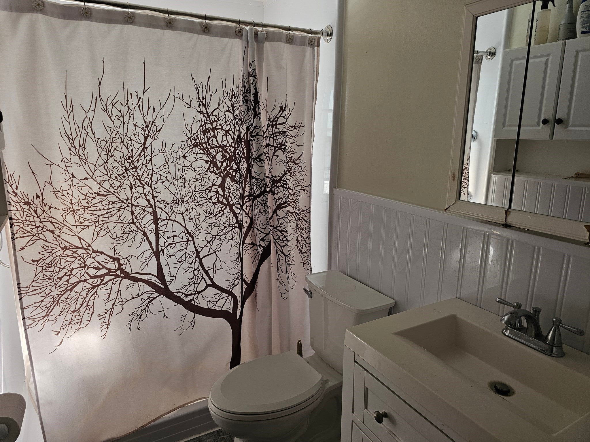 22 Winchester Ave, Worcester, MA, 22 Winchester Ave, Worcester, MA Photo #8