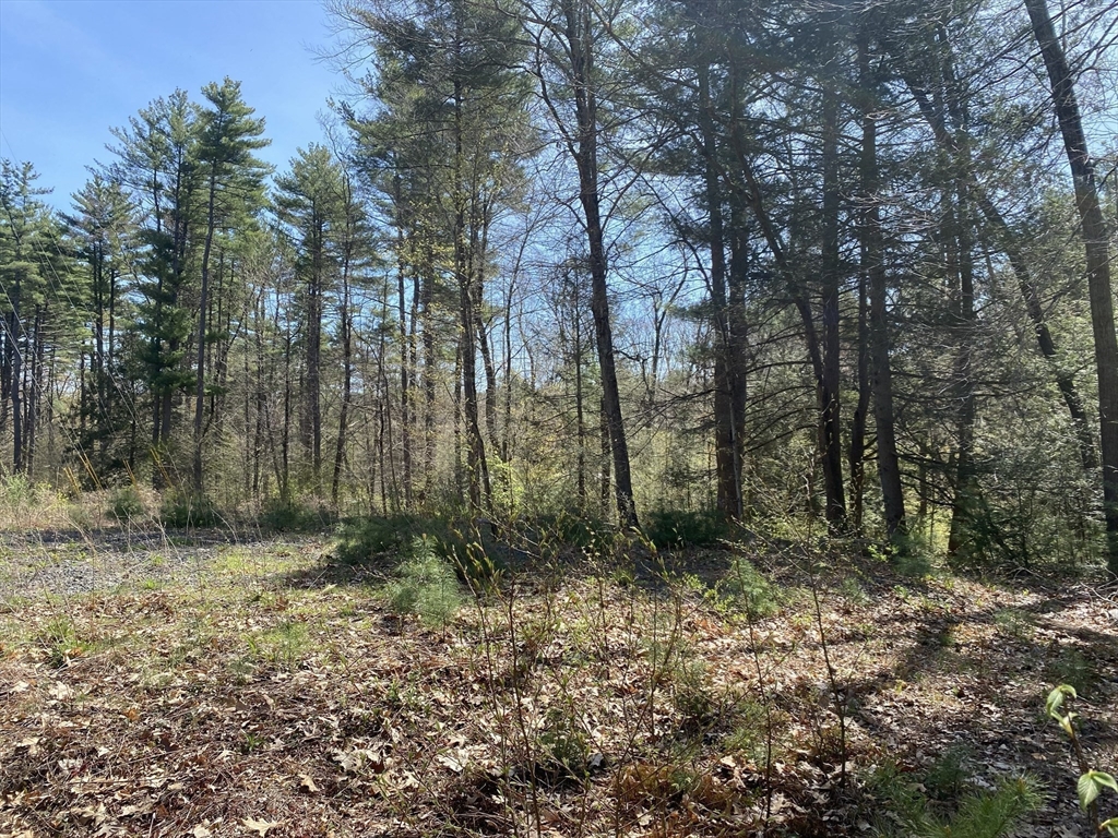 Lot 7,199 Pequot St
