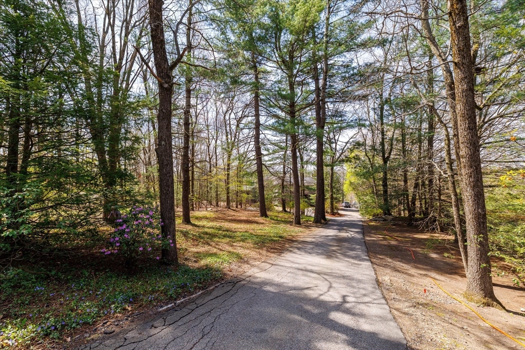 35 Hickory Dr