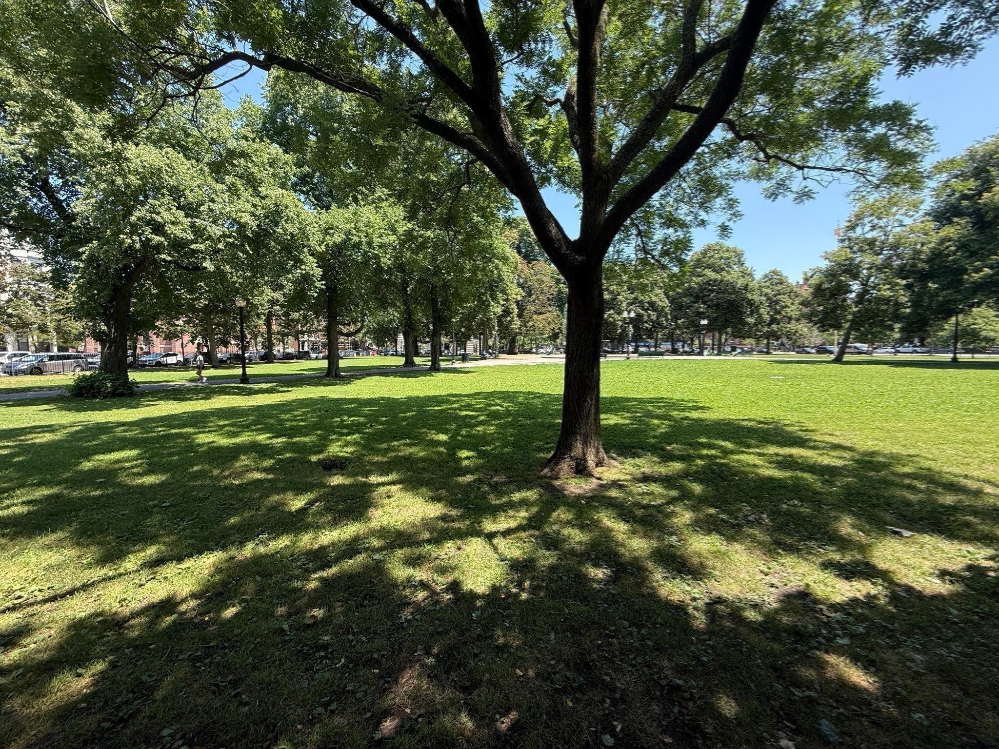 42 West Newton ST #424, Boston, MA Photo #21