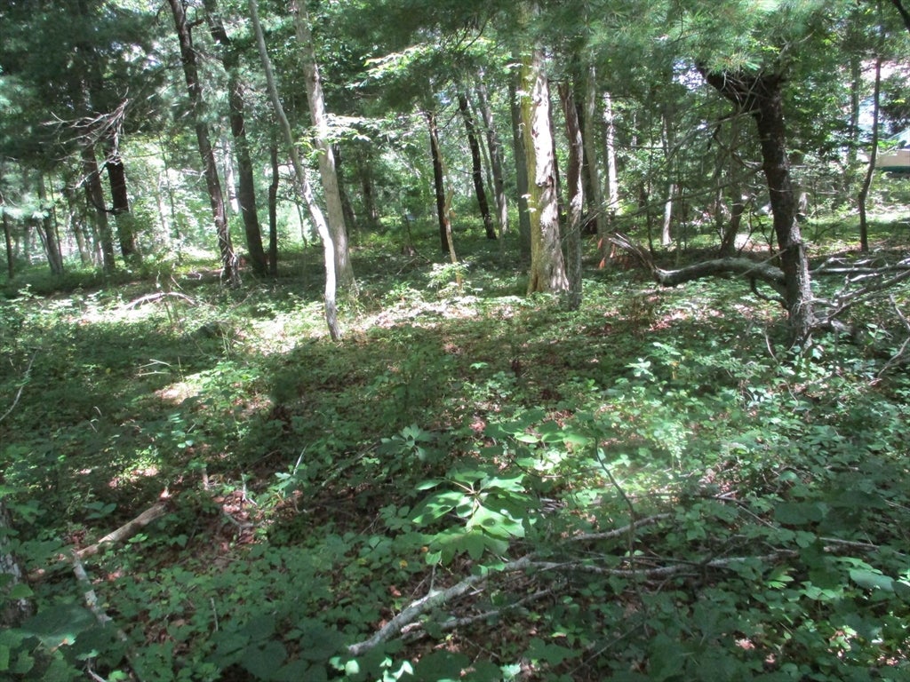 258 Great Neck Rd