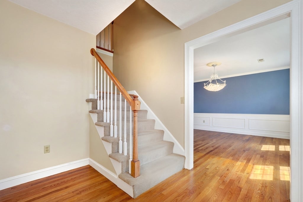 8 Saddle Way