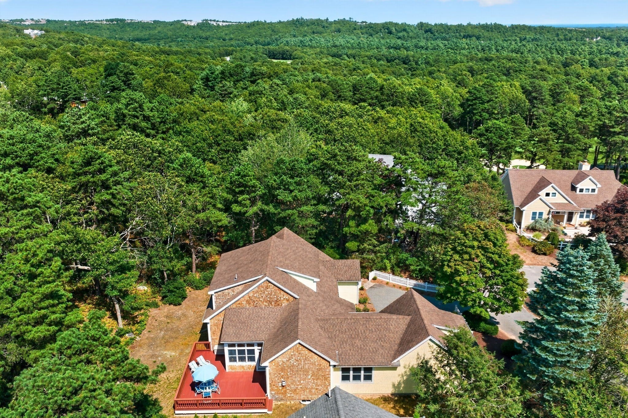 10 Forest Edge