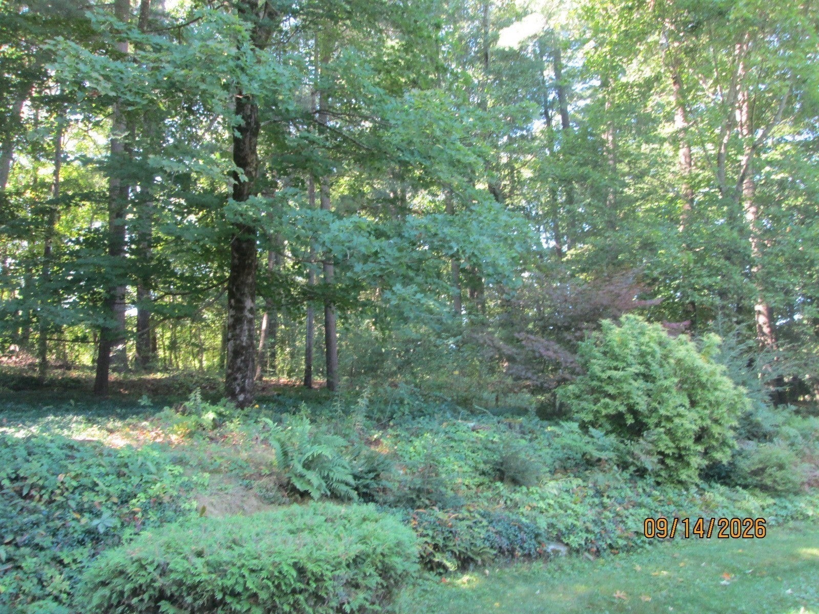 9 Lawsbrook RD, Acton, MA Photo #28