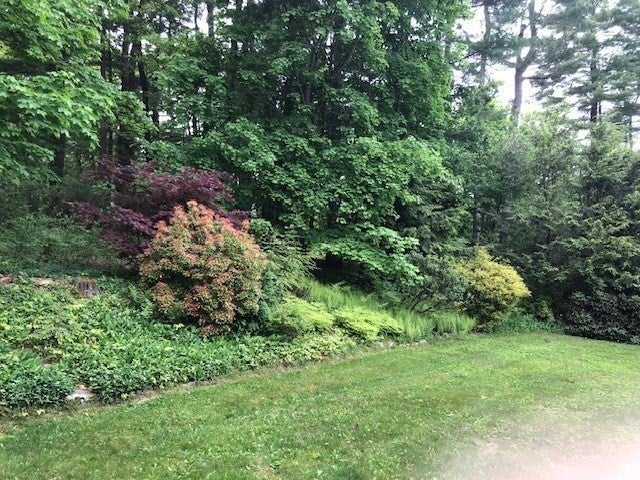 9 Lawsbrook RD, Acton, MA Photo #6