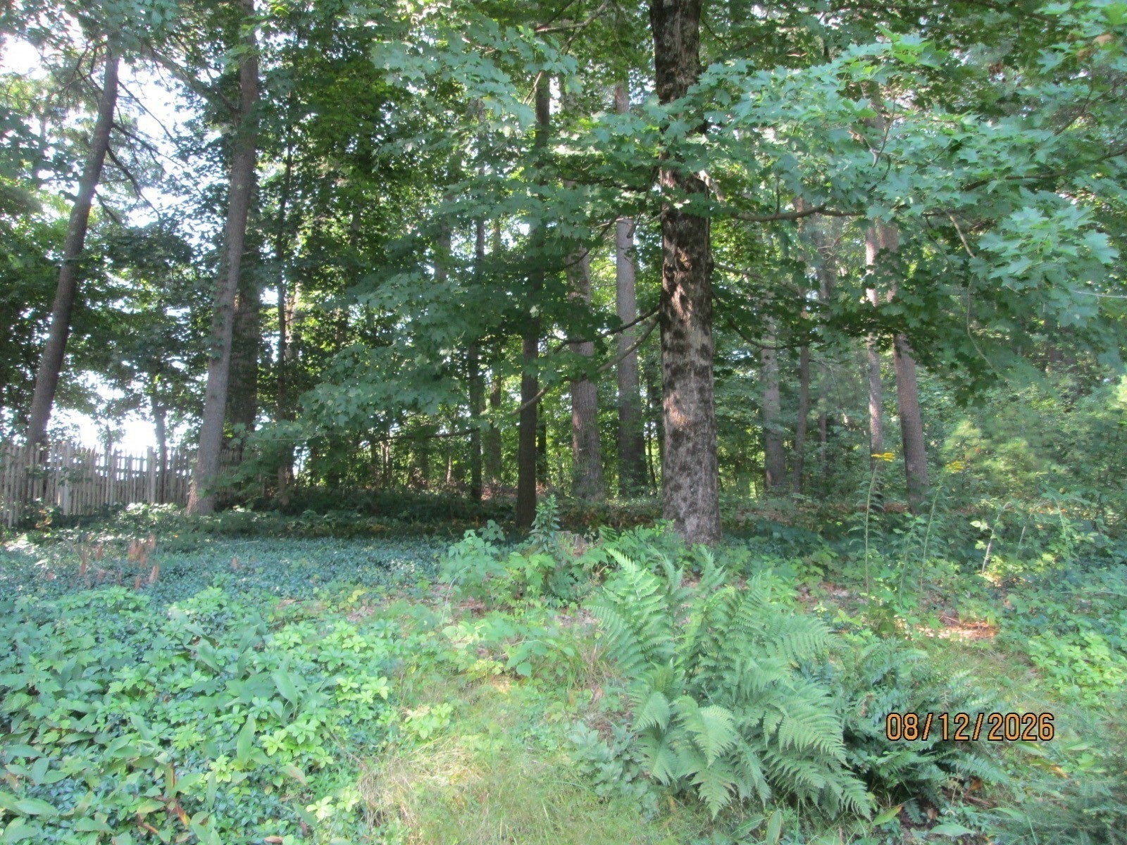 9 Lawsbrook RD, Acton, MA Photo #29