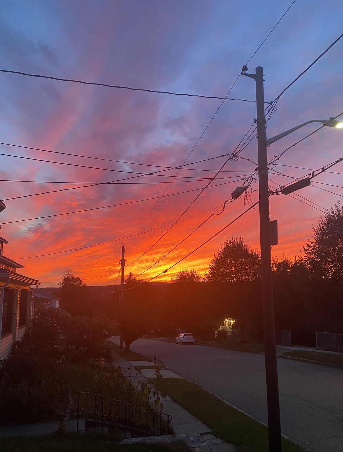 194 Whitmarsh Ave, Worcester, MA Photo #34