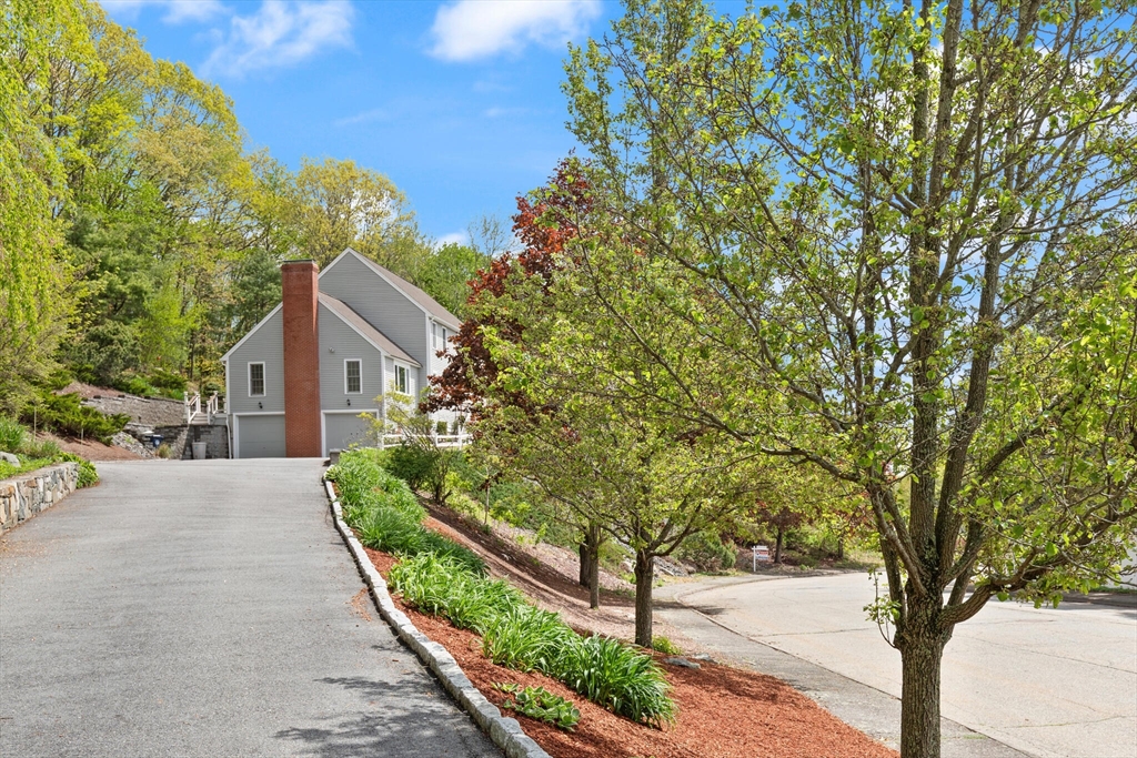 134 Morrissey Road