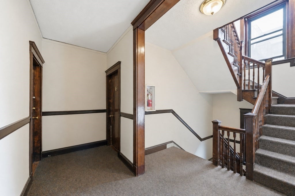 311 Allston St #6, Boston, MA, 311 Allston St #6, Boston, MA Photo #20