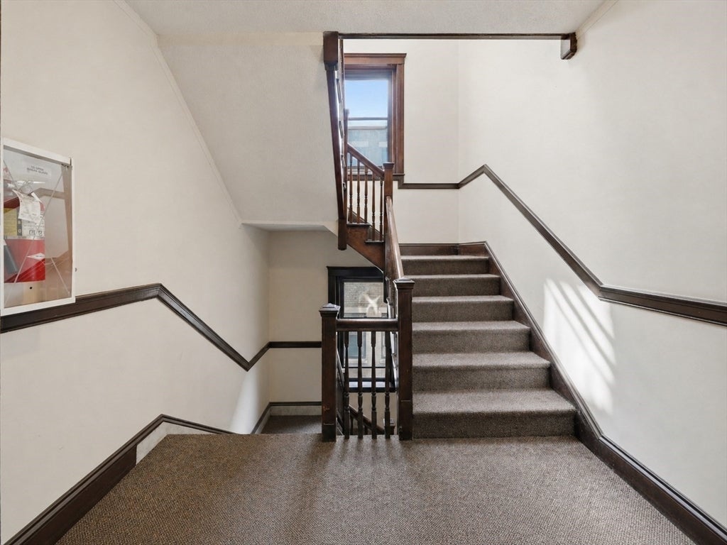 311 Allston St #6, Boston, MA, 311 Allston St #6, Boston, MA Photo #18