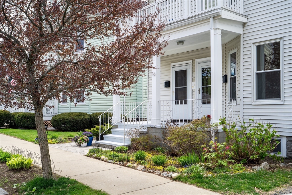 16 Sanford Street 16