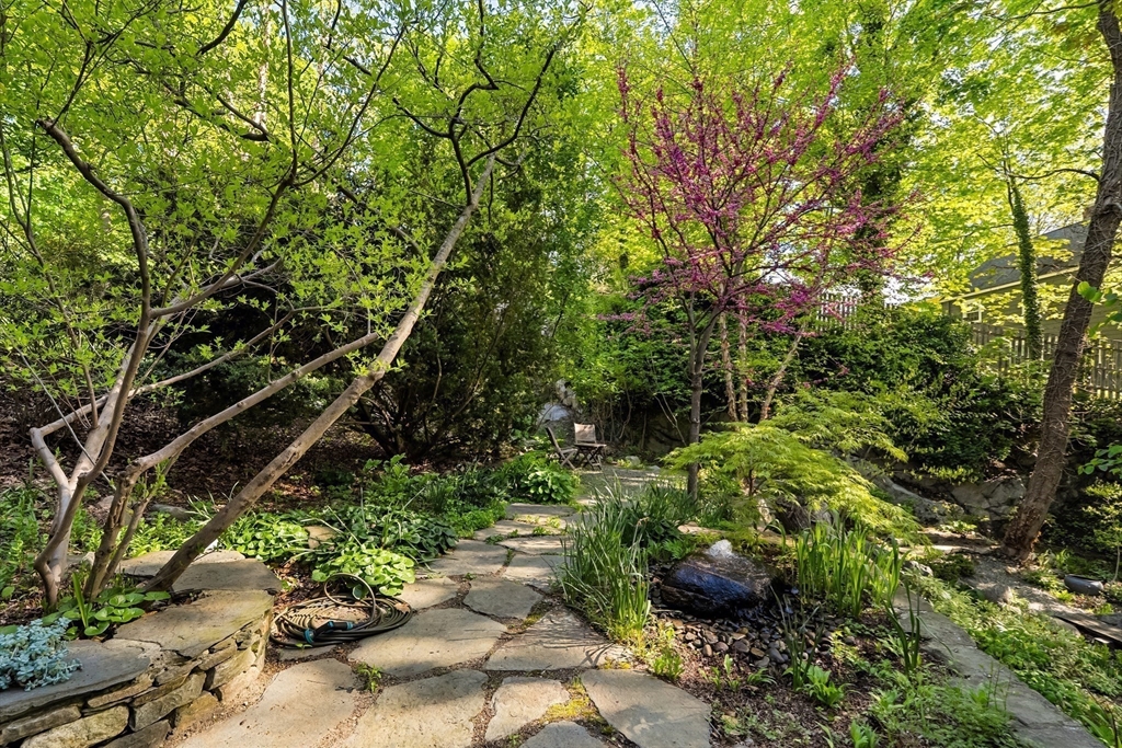 50 Norfolk Road, Arlington, MA, 50 Norfolk Road, Arlington, MA Photo #38