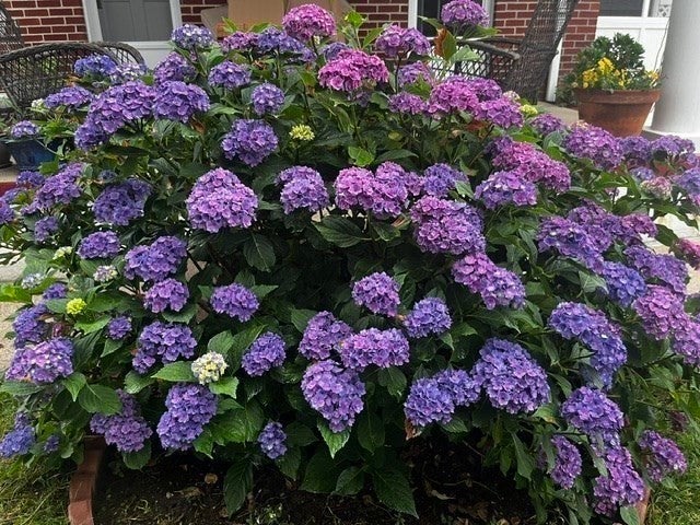 10 West St, New Bedford, MA Photo #32