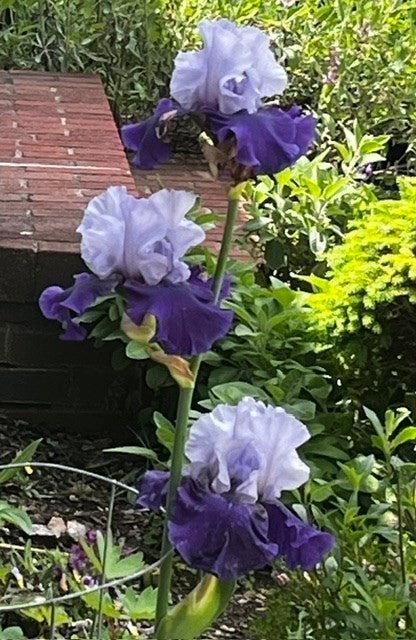 10 West St, New Bedford, MA Photo #35